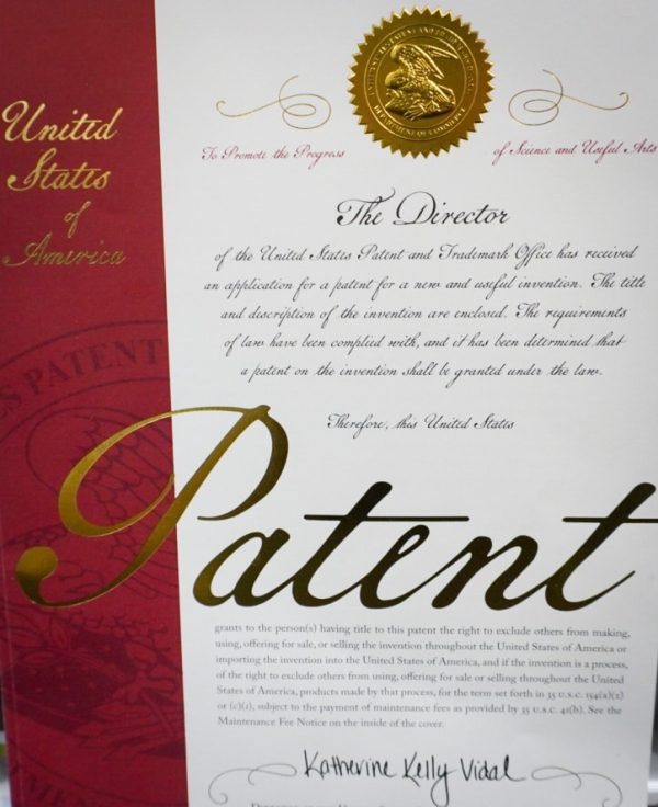Patent door Jammer 2