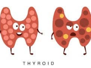 The Beginning of a Long Journey to Thyroid Health