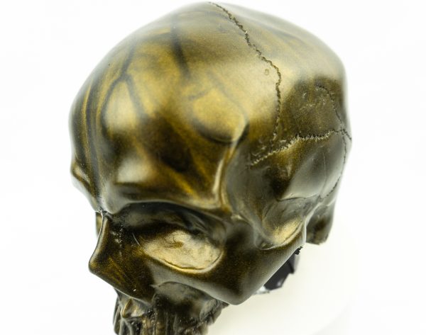 Grip Genie Skull 1